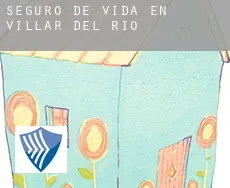 Seguro de vida en  Villar del Río
