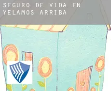 Seguro de vida en  Yélamos de Arriba