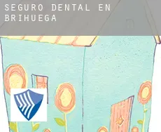 Seguro dental en Brihuega