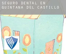 Seguro dental en  Quintana del Castillo