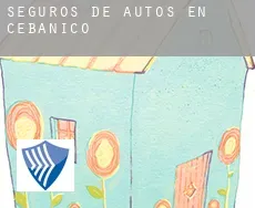 Seguros de autos en  Cebanico