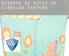 Seguros de autos en  Ciruelos de Cervera