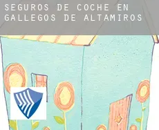 Seguros de coche en Gallegos de Altamiros