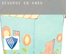 Seguros en  Ansó