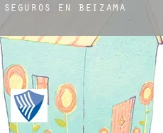 Seguros en  Beizama