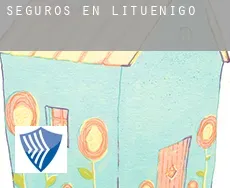 Seguros en  Lituénigo