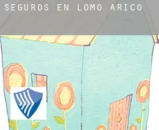 Seguros en  Lomo de Arico