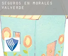 Seguros en  Morales de Valverde