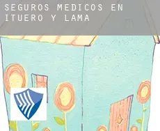 Seguros medicos en  Ituero y Lama