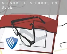 Asesor de seguros en  Ujué