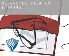 Seguro de vida en  Llobera