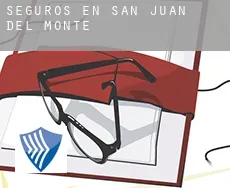 Seguros en  San Juan del Monte