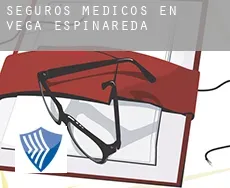 Seguros medicos en  Vega de Espinareda
