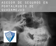Asesor de seguros en  Portalrubio de Guadamejud