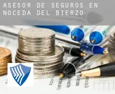 Asesor de seguros en  Noceda del Bierzo