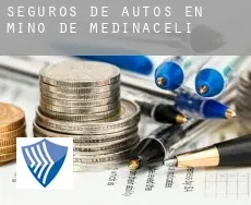 Seguros de autos en  Miño de Medinaceli