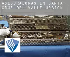 Aseguradoras en  Santa Cruz del Valle Urbión