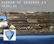 Asesor de seguros en  Cadalso