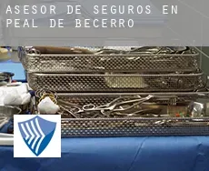 Asesor de seguros en  Peal de Becerro