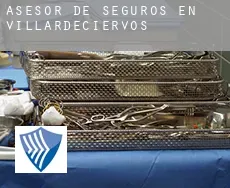Asesor de seguros en  Villardeciervos