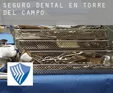 Seguro dental en  Torre del Campo