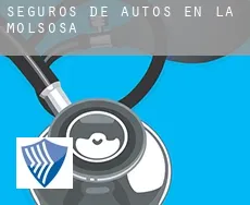 Seguros de autos en  la Molsosa